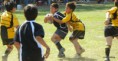 /album/fotogaleria/infantiles-10-jpg1/